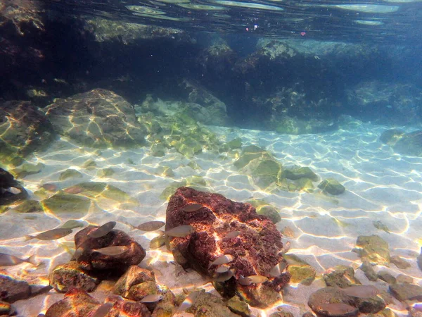 Море Невероятно Чистое Идеально Подходит Ныряния Отражения Камни Рисунок Песка — стоковое фото