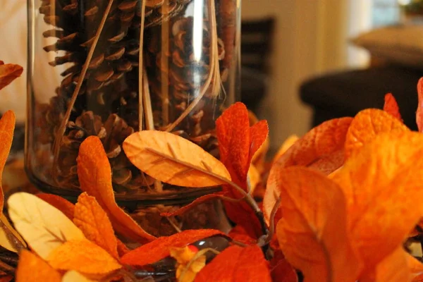 秋天的背景 叶和花五彩斑斓 — 图库照片