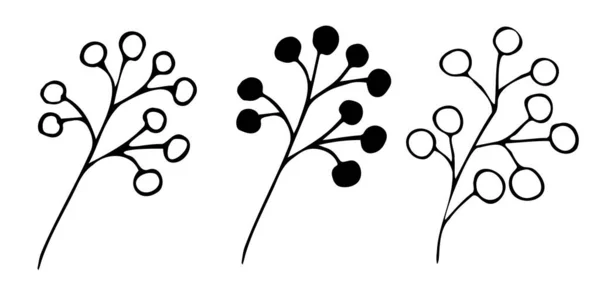 Bobule Větev Ručně Kreslené Černobílé Čáře Jednoduché Kresby Pro Dekoraci — Stockový vektor