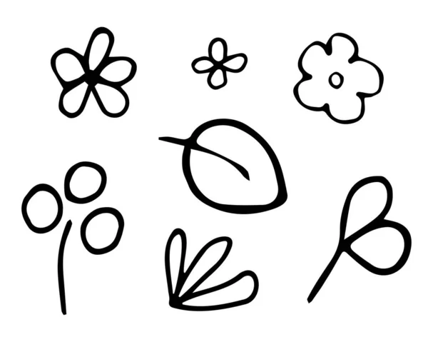 Vector Botanical Elements Black White Freehand Drawing — Stock Vector