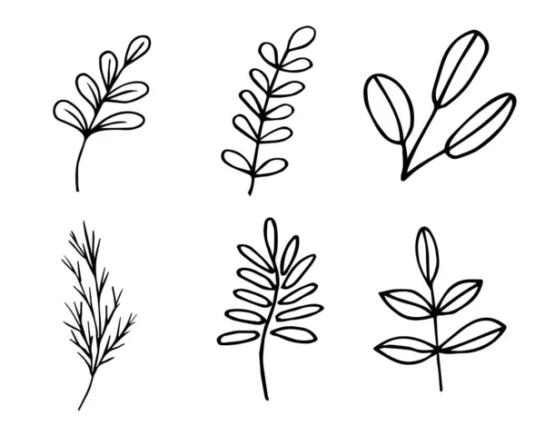 Eine Reihe Von Zweigen Schwarz Weiße Zeichnung Von Hand — Stockvektor