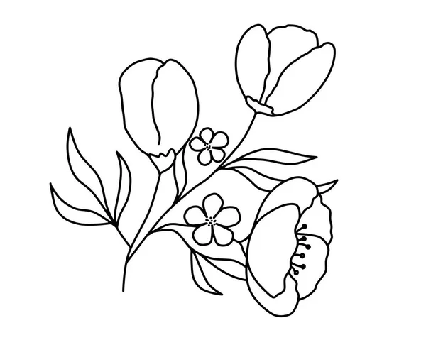 Flores Desenho Ilustração Fundo Branco — Vetor de Stock