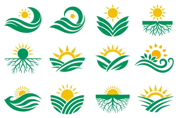 yeşil doğa yaprağı logo vektör simgesi