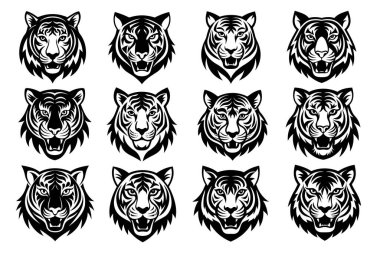 Siyah kaplan surat..