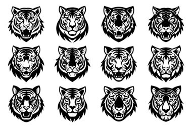 Siyah kaplan surat..