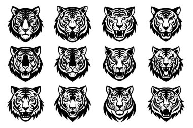 Siyah kaplan surat..