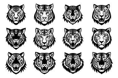 Siyah kaplan surat..