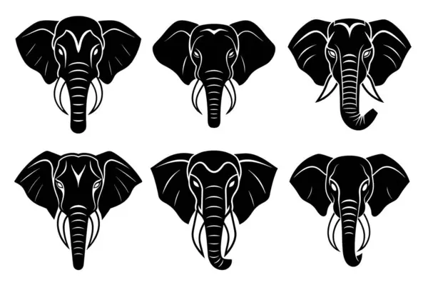 fil kafası illüstrasyon tasarımı