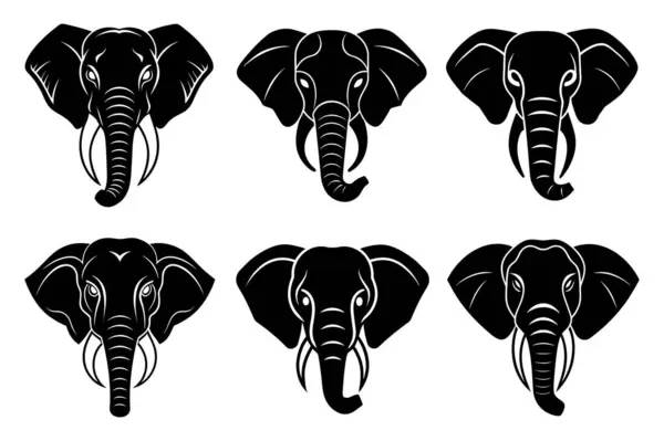 Dört siyah fil seti