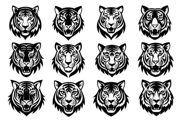 Siyah kaplan surat..