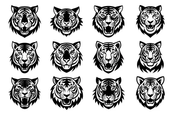 Siyah kaplan surat..