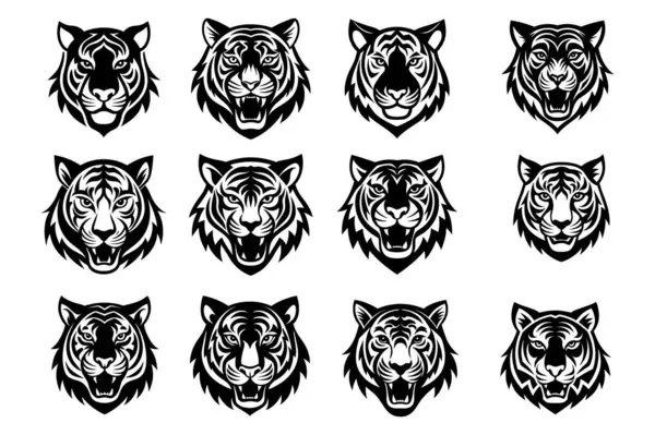 Siyah kaplan surat..