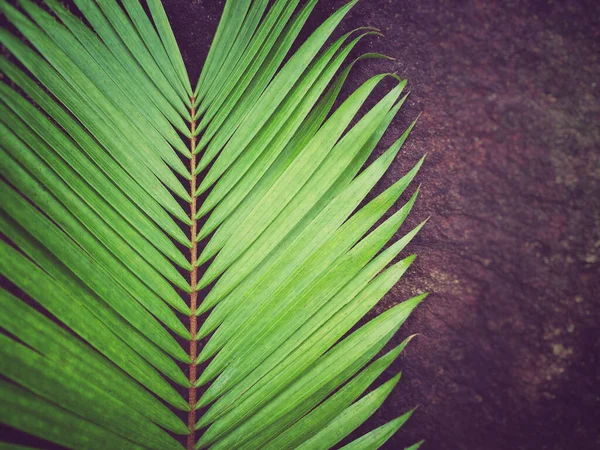 Lent Season,Holy Week and Good Friday concepts - palm leaf in purple vintage background. Stock photo.
