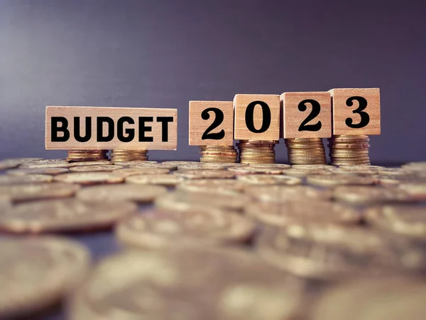Finance Economy Concept Budget 2023 Text Wooden Blocks Background — ストック写真