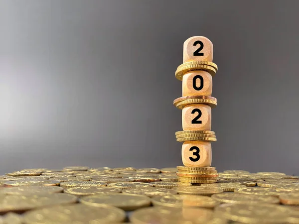 新年の概念の財政と経済 2023 Text Wood Cube Background — ストック写真
