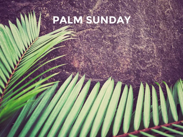 Lent Season,Holy Week and Good Friday concepts - Palm Sunday text in purple vintage background. Stock photo.