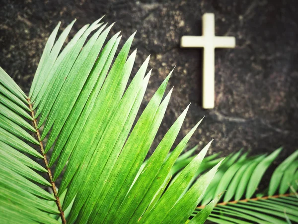 Lent Season,Holy Week and Good Friday Concepts - palm leaves with vintage background.