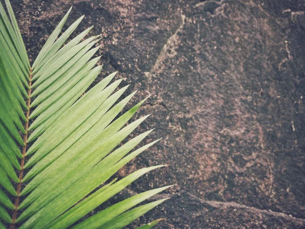 Lent Season,Holy Week and Good Friday concepts - palm leaf in vintage background. Stock photo.