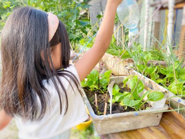 Çiçekleri geri dönüşümlü su şişesiyle sulayan bir kız. Ev bahçesi konsepti geçmişi. 