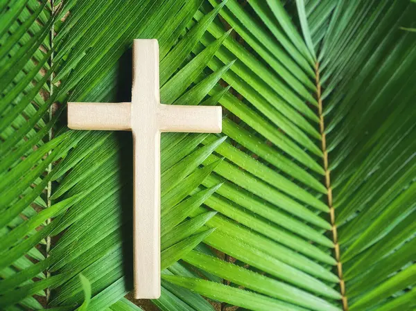 Paskalya, Kutsal Hafta, Palm Sunday konsepti, palmiye yapraklı ahşap haç. Stok fotoğrafı.