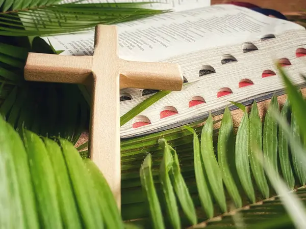 Paskalya sezonu - Palmiye yapraklı ahşap haç ve kutsal İncil geçmişi. Stok fotoğrafı.