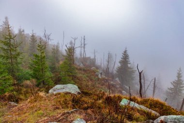 Dağın tepesinde sis, Canon EOS, kılavuz