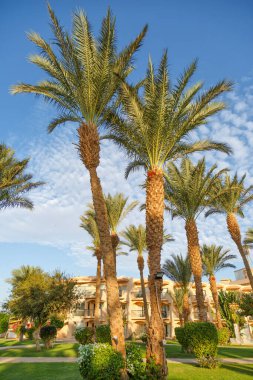 24 Ekim 2021, Hurghada, Mısır. Tropikal bir tatil köyünde havuz ve konaklama. Binalar, yüzme havuzları ve Kızıl Deniz kıyısında bir dinlenme alanı.. 