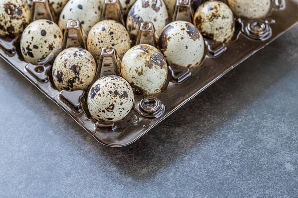 stock image aster quail eggs.  Spring background with small easter quail eggs. Vintage photo processing