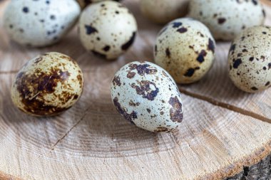 Easter quail eggs.  Spring background with small easter quail eggs. Vintage photo processing