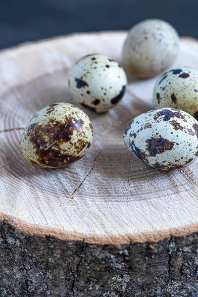 Easter quail eggs.  Spring background with small easter quail eggs. Vintage photo processing