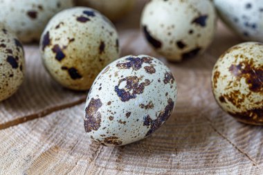 Easter quail eggs.  Spring background with small easter quail eggs. Vintage photo processing