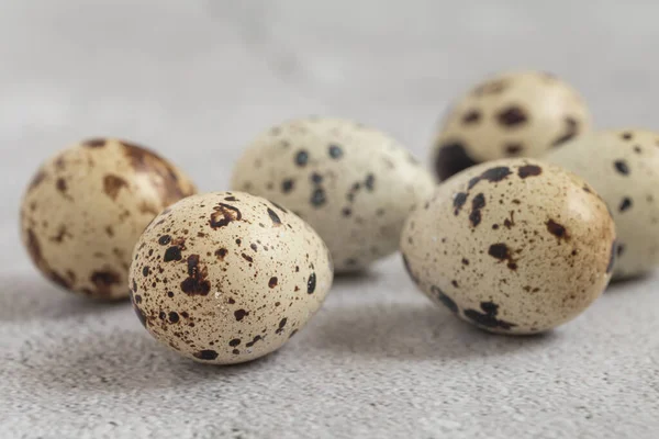 stock image Easter quail eggs.  Spring background with small easter quail eggs. Vintage photo processing