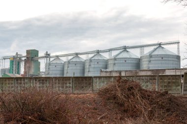 Zirai ambar asansörü ve tarım ürünlerinin kuru temizleme ve depolanması için tarım işleme fabrikasının tohum temizleme hattı. .