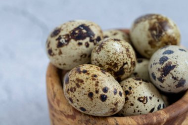 Easter quail eggs.  Spring background with small easter quail eggs. Vintage photo processing