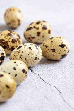 Easter quail eggs.  Spring background with small easter quail eggs. Vintage photo processing
