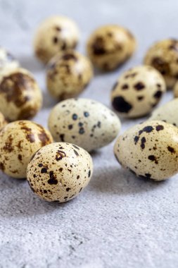 Easter quail eggs.  Spring background with small easter quail eggs. Vintage photo processing