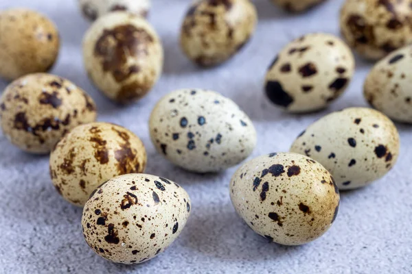 stock image Easter quail eggs.  Spring background with small easter quail eggs. Vintage photo processing