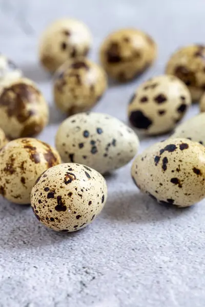 stock image Easter quail eggs.  Spring background with small easter quail eggs. Vintage photo processing