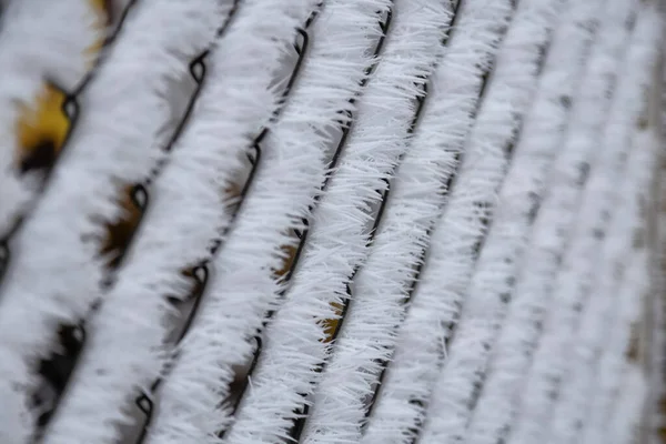 Ветви Сосен Покрыты Снежным Морозом Идеальные Зимние Обои Магическая Фотография — стоковое фото