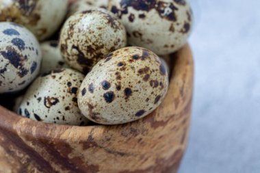 Easter quail eggs.  Spring background with small easter quail eggs. Vintage photo processing