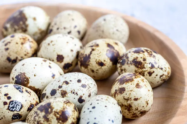 stock image Easter quail eggs.  Spring background with small easter quail eggs. Vintage photo processing