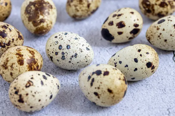 stock image Easter quail eggs.  Spring background with small easter quail eggs. Vintage photo processing