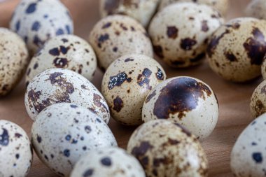 Easter quail eggs.  Spring background with small easter quail eggs. Vintage photo processing