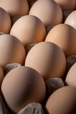 Sıraya dizilmiş kahverengi yumurtalar. Karton kasette bir grup taze beyaz yumurta. Doğadan gelen organik gıdalar sağlık için iyidir..