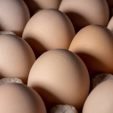 Sıraya dizilmiş kahverengi yumurtalar. Karton kasette bir grup taze beyaz yumurta. Doğadan gelen organik gıdalar sağlık için iyidir..