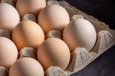 Sıraya dizilmiş kahverengi yumurtalar. Karton kasette bir grup taze beyaz yumurta. Doğadan gelen organik gıdalar sağlık için iyidir..