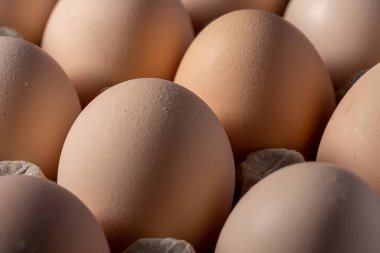 Sıraya dizilmiş kahverengi yumurtalar. Karton kasette bir grup taze beyaz yumurta. Doğadan gelen organik gıdalar sağlık için iyidir..