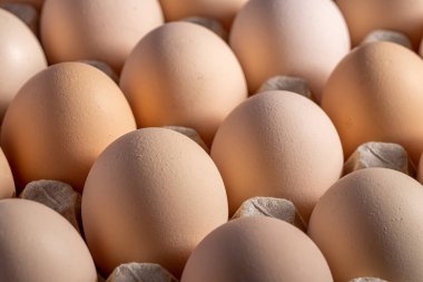 Sıraya dizilmiş kahverengi yumurtalar. Karton kasette bir grup taze beyaz yumurta. Doğadan gelen organik gıdalar sağlık için iyidir..