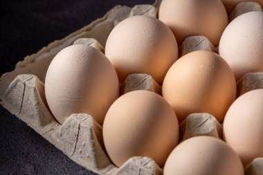 Sıraya dizilmiş kahverengi yumurtalar. Karton kasette bir grup taze beyaz yumurta. Doğadan gelen organik gıdalar sağlık için iyidir..