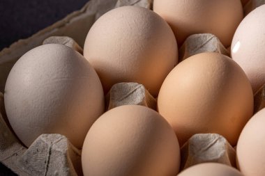 Sıraya dizilmiş kahverengi yumurtalar. Karton kasette bir grup taze beyaz yumurta. Doğadan gelen organik gıdalar sağlık için iyidir..